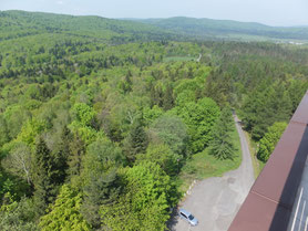 Dukla-pas-uitzichttoren-bos-Slowakije-grens-Polen