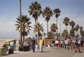 Santa-Monica-pier-palmbomen-Los-Angeles-Verenigde-Staten
