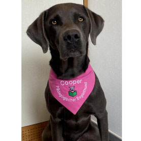 Hundehalstuch in pink,bestickt mit Pädagogik-Begeleithund,textilfashion_de
