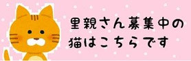 　　　　　　　　　　　　　　　　　　　　　　クリック！