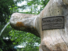 Frisches Quellwasser erfrischt beim Bergwandern oberhalb von Anger