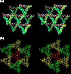 Images stéréoscopiques aux environs d'un triangle (a) et le rhomboèdre flanqué de huit des triangles (b)