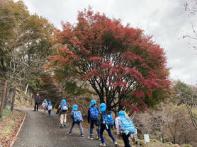 尼崎ひまわり保育園の11月