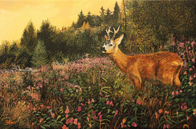 Rehbock am Hang 40 x 60