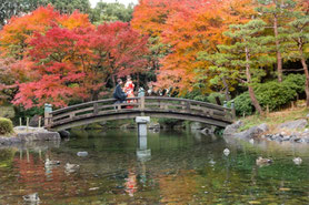 中央公園紅葉ロケーション撮影