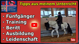 Link führt direkt zu Video bei YouTube