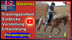 Link führt direkt zu Video bei YouTube