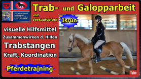Link führt direkt zu Video bei YouTube