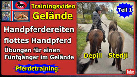 Link führt direkt zu Video bei YouTube