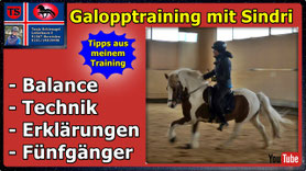 Link führt direkt zu Video bei YouTube