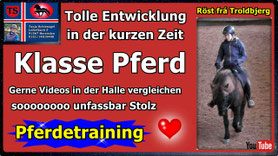 Link führt direkt zu Video bei YouTube