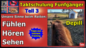 Link führt direkt zu Video bei YouTube