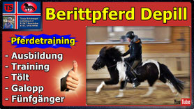 Link führt direkt zu Video bei YouTube