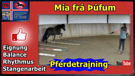 Link führt direkt zu Video bei YouTube
