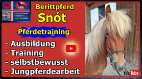 Link führt direkt zu Video bei YouTube