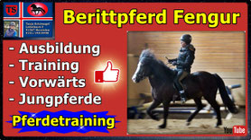 Link führt direkt zu Video bei YouTube