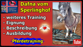 Link führt direkt zu Video bei YouTube