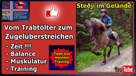 Link führt direkt zu Video bei YouTube