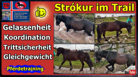 Link führt direkt zu Video bei YouTube
