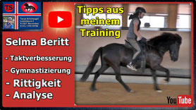 Link führt direkt zu Video bei YouTube