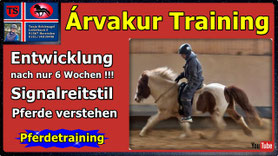 Link führt direkt zu Video bei YouTube