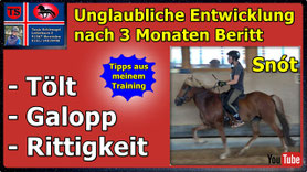 Link führt direkt zu Video bei YouTube