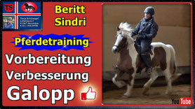Link führt direkt zu Video bei YouTube