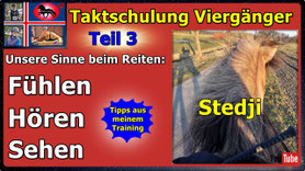 Link führt direkt zu Video bei YouTube
