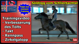 Link führt direkt zu Video bei YouTube