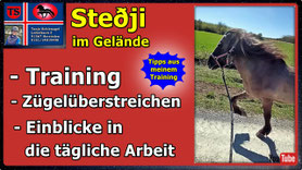 Link führt direkt zu Video bei YouTube