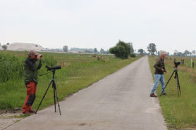 Nestenzoekers