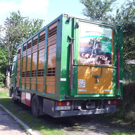 Nur 3 km zum nächsten Schlachthof