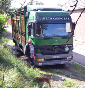 Kurze Transportwege für Schweine