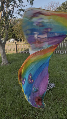 Rainbow, Butterflies, flowers