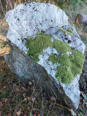 Findling mit Moosbewuchs