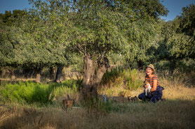 lachende Frau mit Olivenbäumen und Hund