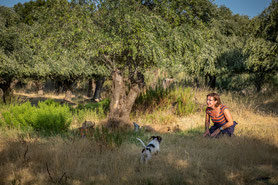 Frau und Hund im Olivenhain