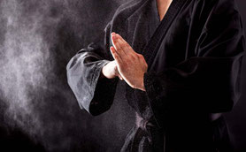 Découvrez le site de la discipline et philosophie Shui Quan Dao - La Voie du poing de l'Eau