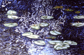 "Lilies at dawn"  Pastell on Ingrés paper (1988) 63 cm x 48 cm
