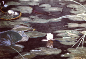 Pastell on Ingrés paper (1989) 63 cm x 48 cm