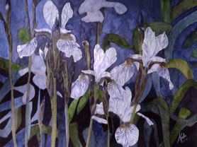 Mixed media on Ingrés paper (1989) 63 cm x 48 cm