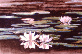 "Evening water lilies" Pastell on Ingrés paper (1988)