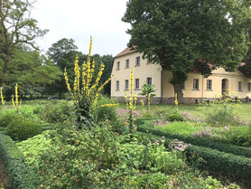 Kräutergarten