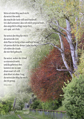 Nr: T 13, Christliche Karten, Mirjam Dentler