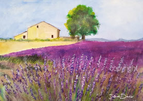 provence lavendel acryl