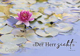 Christliche Karten Seerose pink Wasserspiegelung der Herr sieht