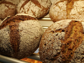 Brot & Brötchen - der tägliche Gaumenschmauss