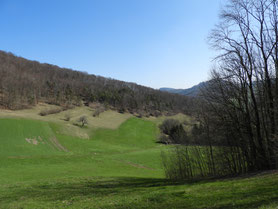 Naturschutzgebiet Asp in Vorfrühling 