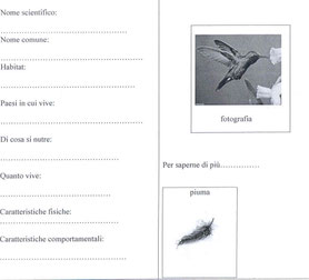 PERCORSO SULL'AUTOGESTIONE MI GESTISCO - Benvenuti su 