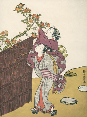 木　女